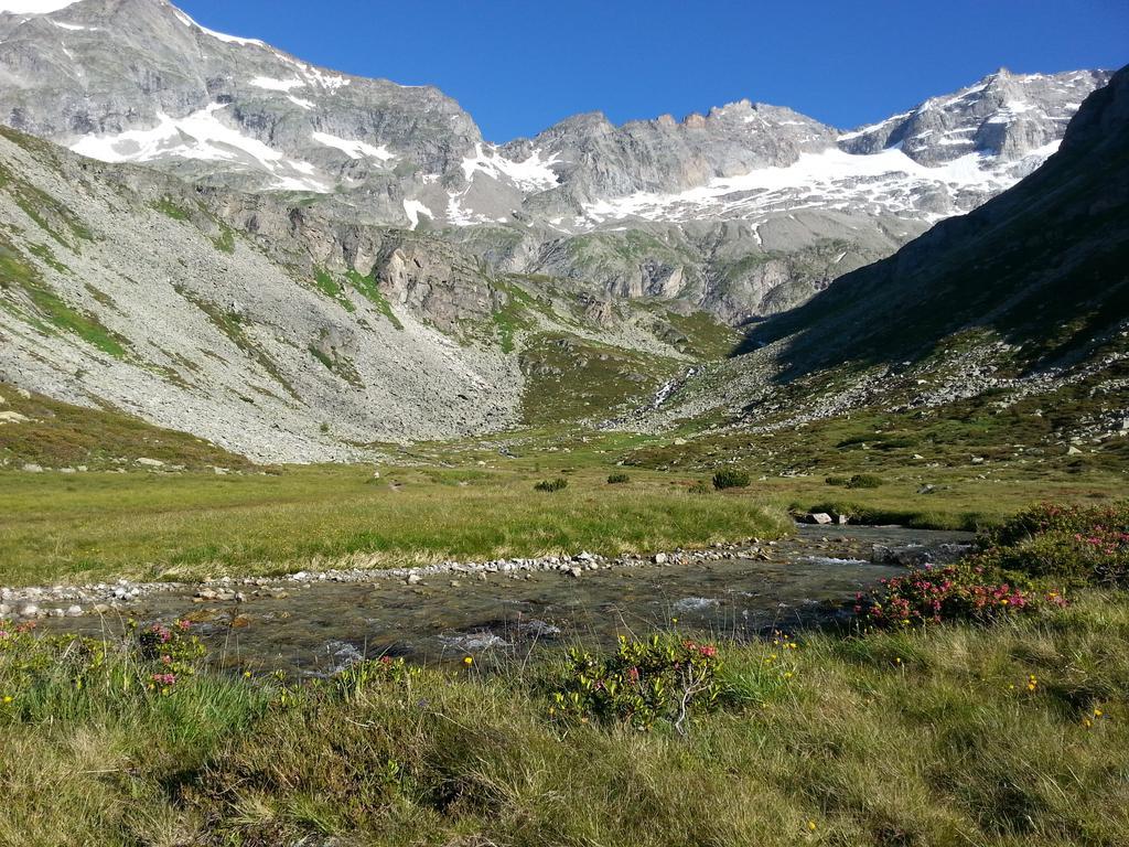 迈尔霍芬特劳德尔旅馆公寓 外观 照片
